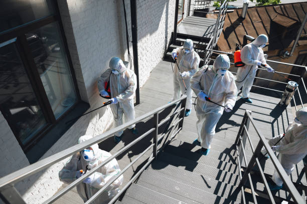 Best Mold Remediation for Healthcare Facilities  in Key West, FL