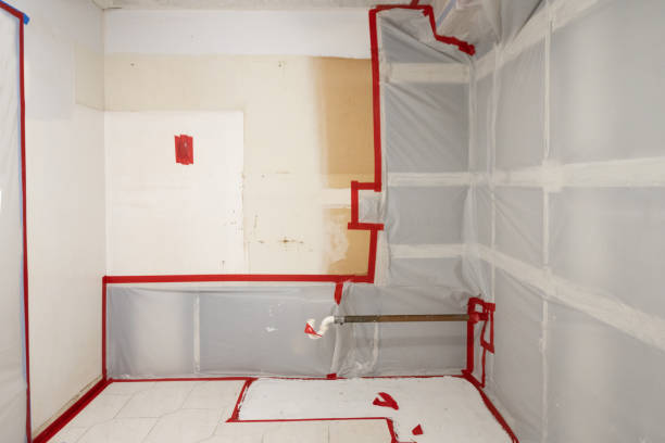 Best Commercial Mold Inspection  in Key West, FL