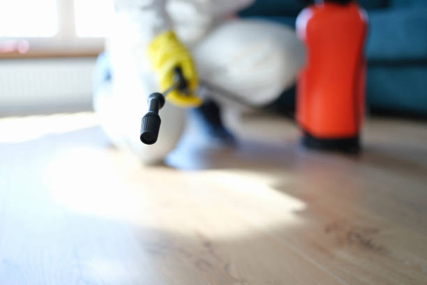 Best Mold Documentation for Insurance Claims  in Key West, FL
